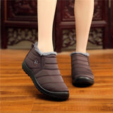 Plush Fall Winter Boots Women Shoes