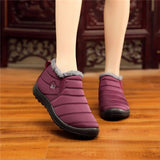 Plush Fall Winter Boots Women Shoes